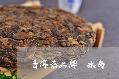 普洱茶品牌 冰岛/2023031709695